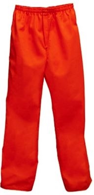 Inmate Pants