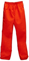 Inmate Pants